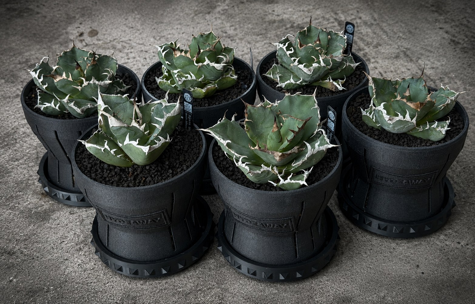 MAGAMARU pot lineup, six pots